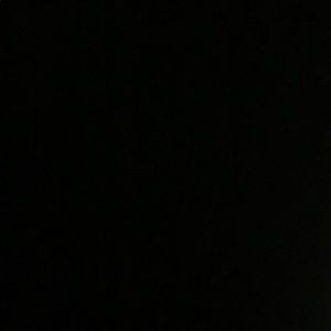 Meet your Posher, Bella